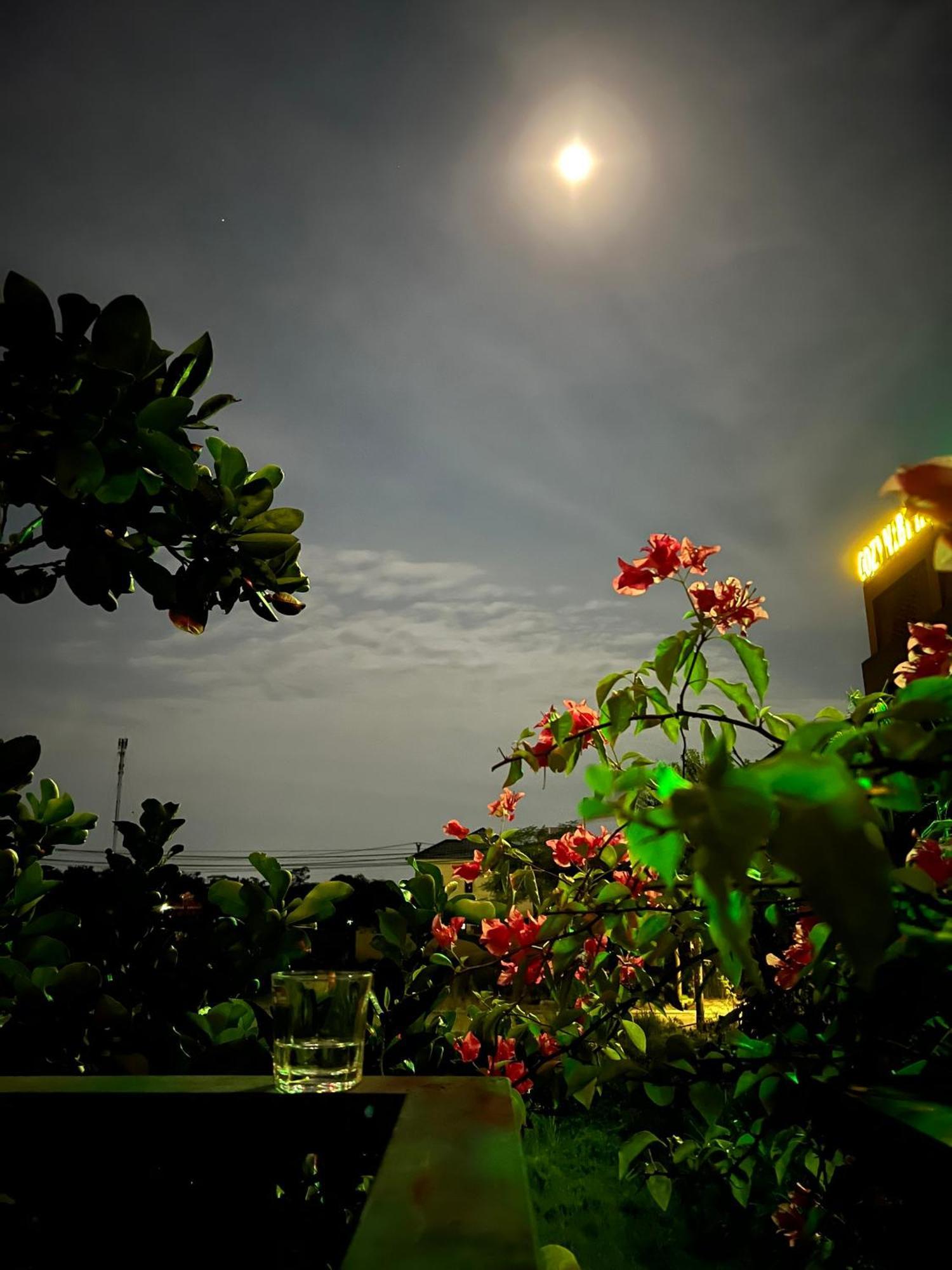 Tam Coc Golden Sun Villa Vu Lam 외부 사진